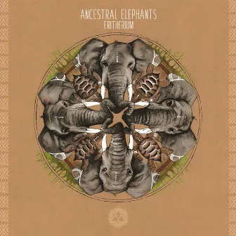 Eritherium by Ancestral Elephants