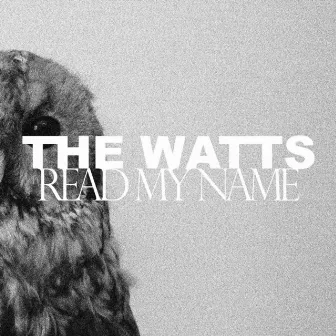 Read my name by The Watts