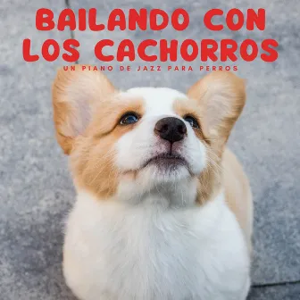 Bailando Con Los Cachorros: Un Piano De Jazz Para Perros by Jazz instrumental relajado