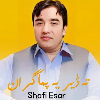 Ta Der Ye Pama Gran by Shafi Esar