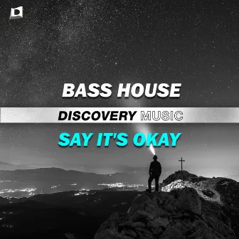 Say It's Okay by Bass House