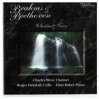 Brahms & Beethoven: Piano Trios by Charles West