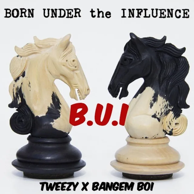 B.U.I. (Born Under the Influence)