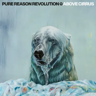 Above Cirrus by Pure Reason Revolution