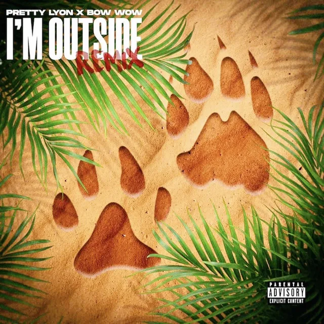 Im Outside (Remix)