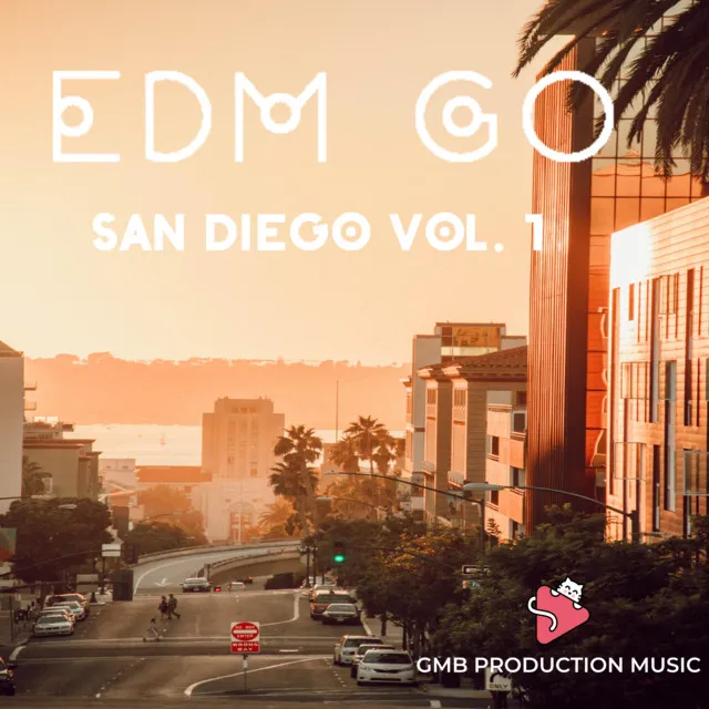 FLUXX (From "EDM GO! San Diego Vol. 1")