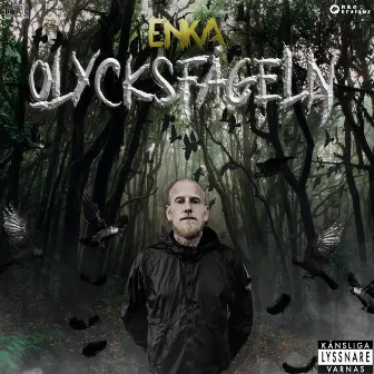 Olycksfågel by Enka