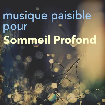 Musique Paisible pour Relaxation et Sommeil Profond – Musicothérapie et Sophrologie pour Détente Totale by New Age Piano Music Academy