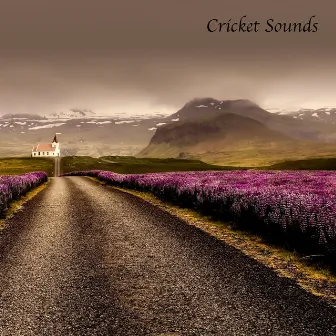 Cricket Sounds by Crickets