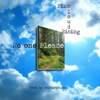 No One Please by Pink Klouds Rising