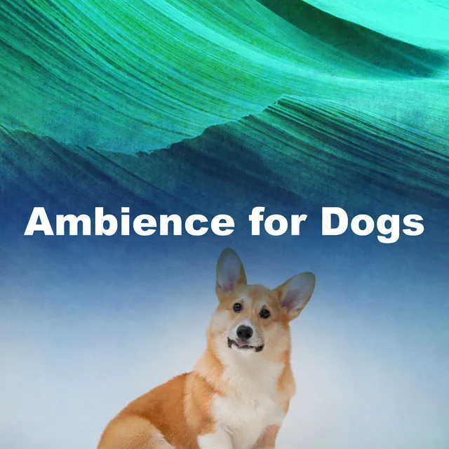 Ambience for Dogs