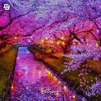 Blossom by Coco Beats