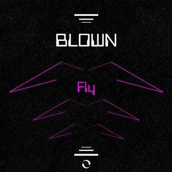 Fly by Blown