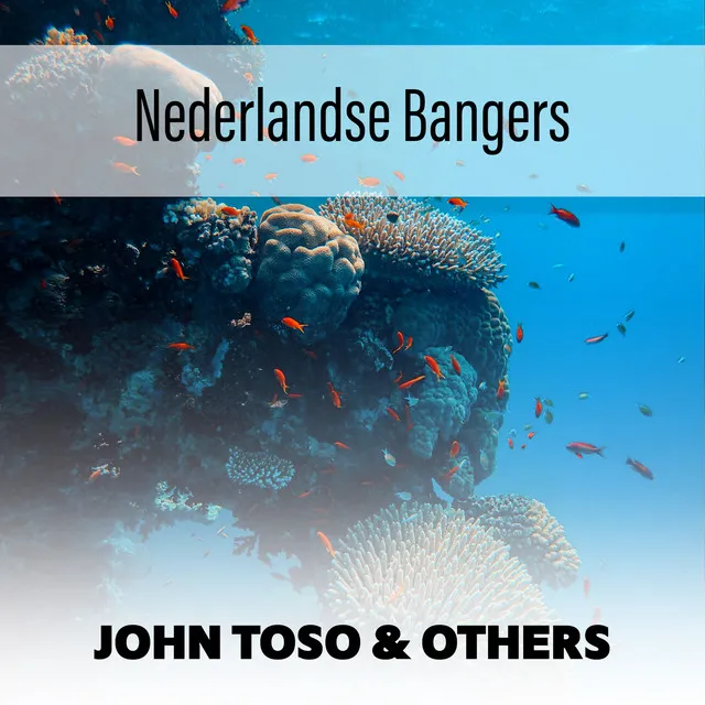 Nederlandse Bangers