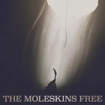 Free by The Moleskins