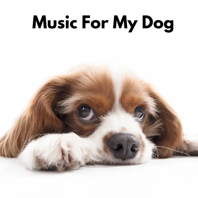 Music for My Dog