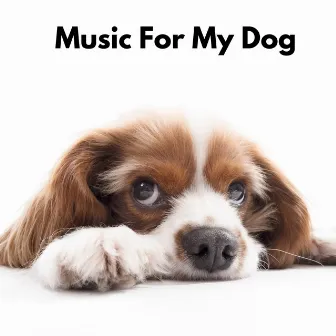 Music for My Dog by The Dog Relaxer