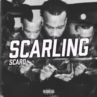 Scarling by Scard