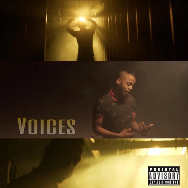 Voices