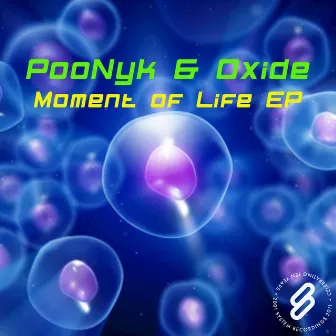 Moment Of Life EP by Oxide