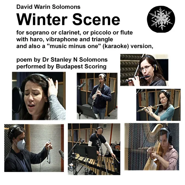 Winter Scene for Flute, Harp, Vibraphone and Triangle