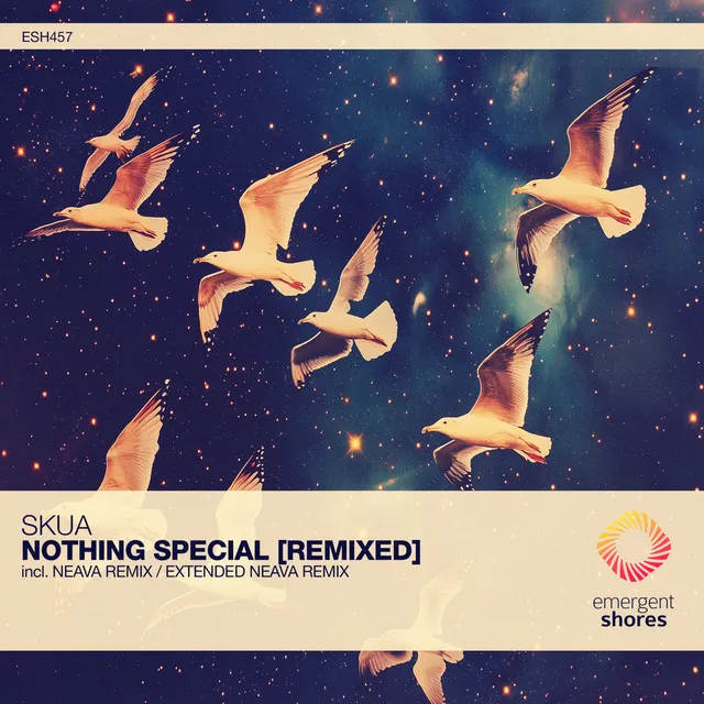 Nothing Special - Neava Remix