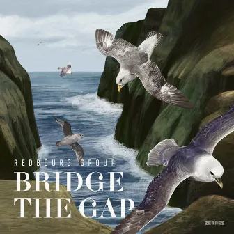 Bridge the Gap by Unknown Artist