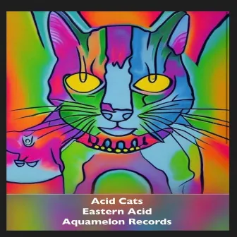 Eastern Acid by Acid Cats