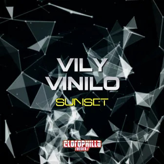 Sunset by Vily Vinilo