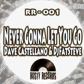 Never Gonna Let You Go by Dave Castellano