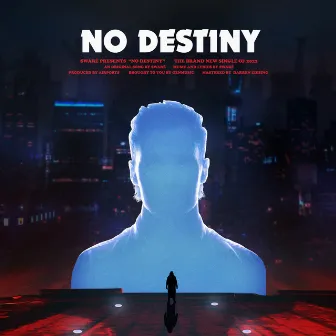 No Destiny by Swaré