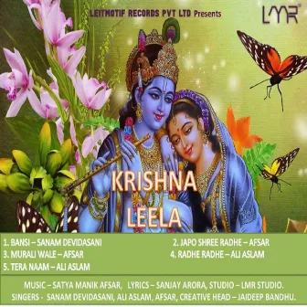 Krishna Leela by 