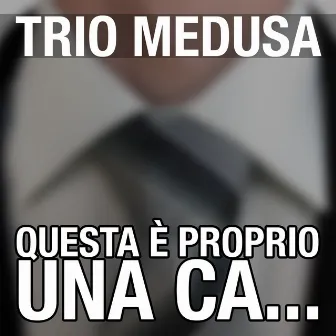 Questa e' proprio una ca... by Trio Medusa