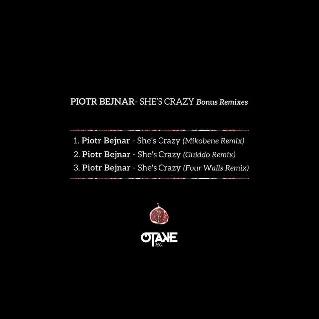 Piotr Bejnar feat. DJ Mo - Mikobene Remix