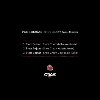 She's Crazy Bonus Remixes feat. DJ Mo by Piotr Bejnar