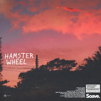 Hamster Wheel by sotowabo