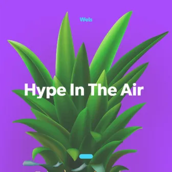 Hype In The Air by Wels