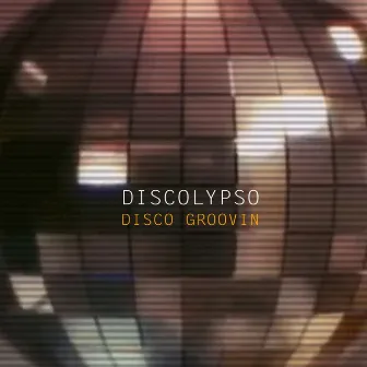 Disco Groovin by Discolypso