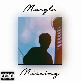 Missing by Meegle