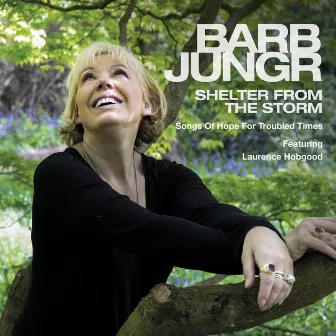 Shelter From the Storm: Songs of Hope for Troubled Times by Barb Jungr