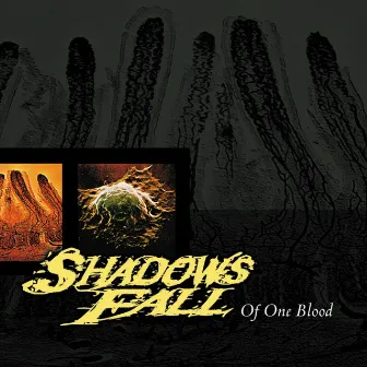 Of One Blood by Shadows Fall