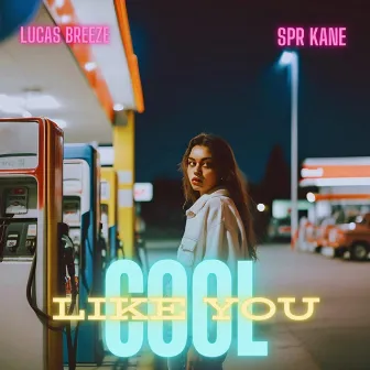 Cool like You by Lucas Breeze