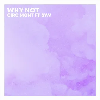 Why Not by Ciro Mont