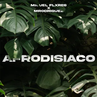 Afrodisíaco by Miguel Flxres