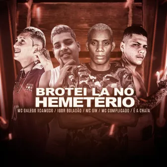 Brotei La no Hemetério by Mc Complicado