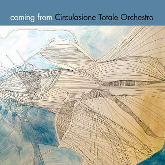 Coming From by Circulasione Totale Orchestra