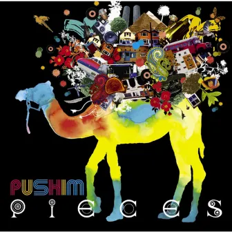 Pieces by PUSHIM