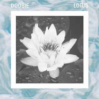 LOTUS by Doobie