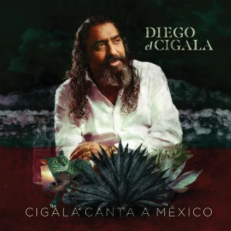 Cigala Canta a México by Diego El Cigala