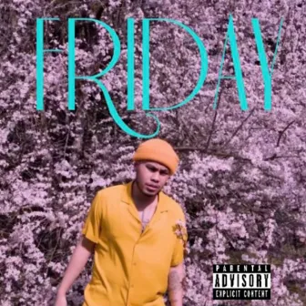 Friday by Nage